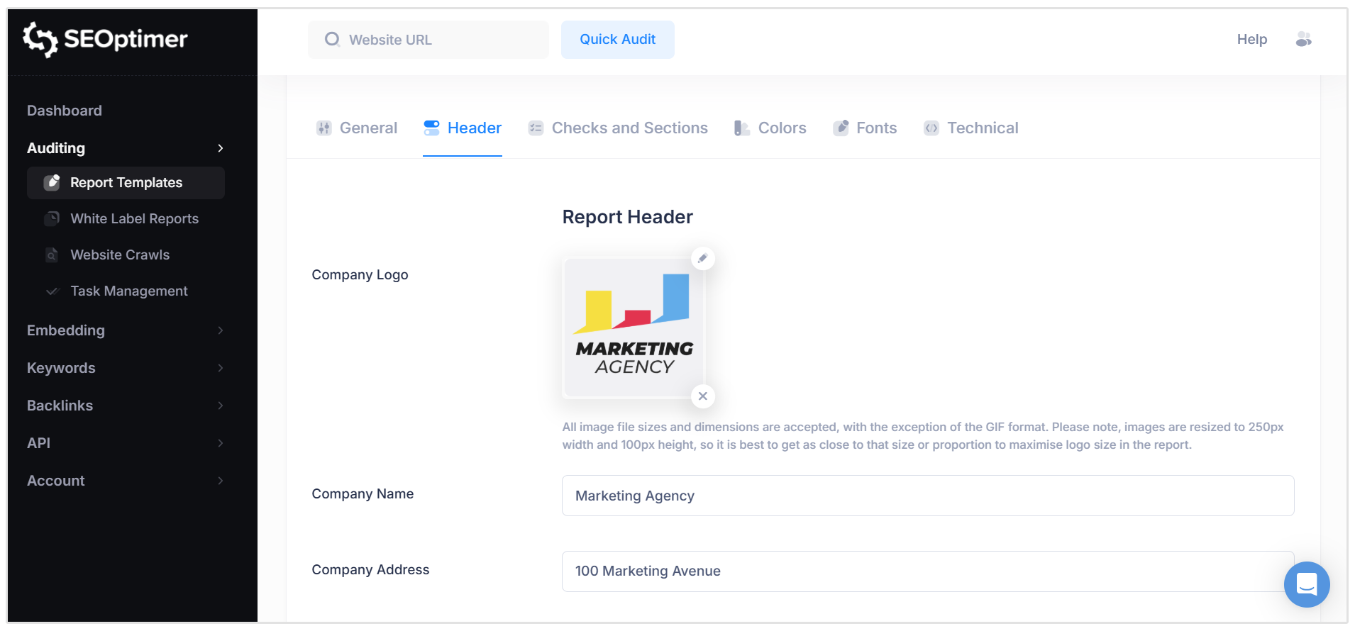 Create website audit with branding